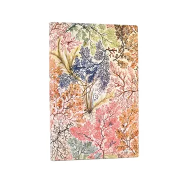Anemone Mini Lined