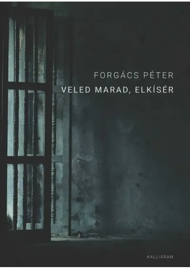 Forgács Péter - Veled marad, elkísér
