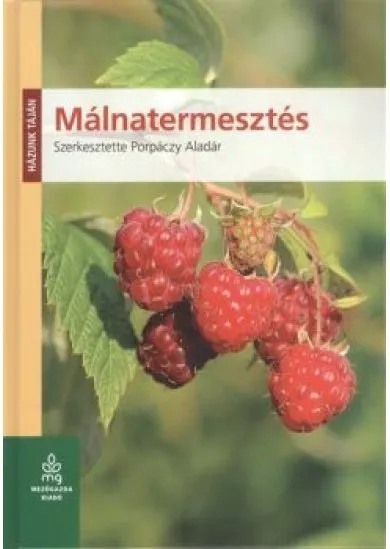 Málnatermesztés /Házunk táján