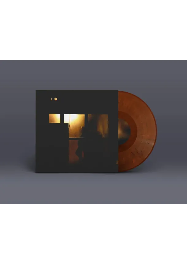 Sachal Vasandani, EDITION - Sachal Vasandani:  Midnight Shelter