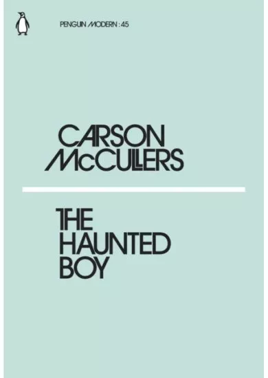 The Haunted Boy