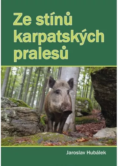 Ze stínů karpatských pralesů