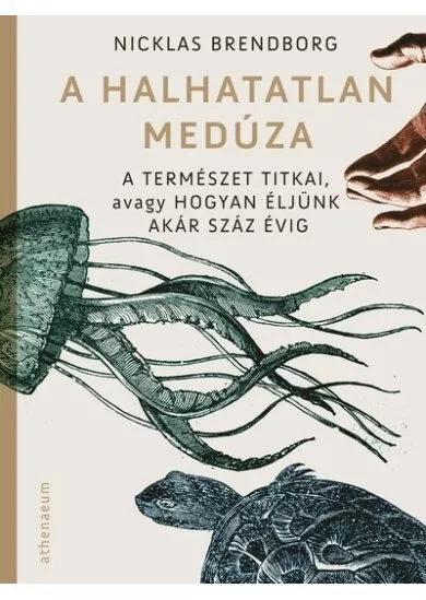 A halhatatlan medúza - A természet titkai, avagy hogyan éljünk akár száz évig