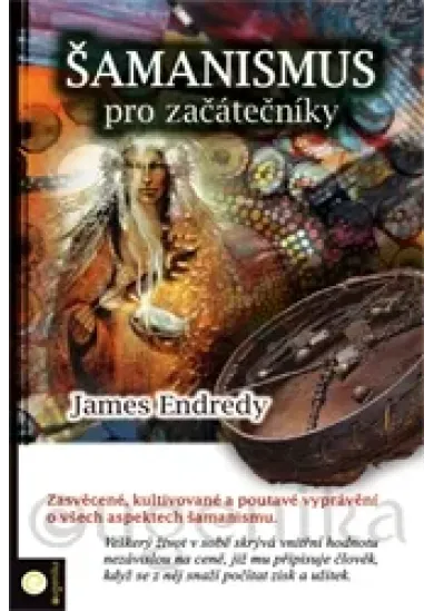 Šamanismus pro začátečníky