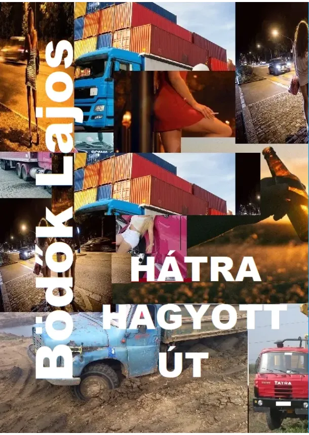 Lajos Bödők - Hátra hagyott út