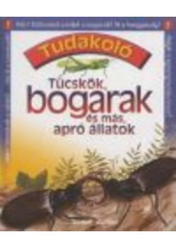 Jim Bruce - TUDAKOLÓ