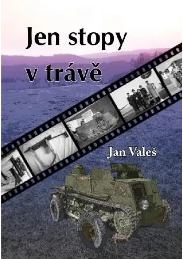 Jan Valeš - Jen stopy v trávě