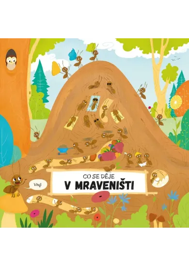 Co se děje v mraveništi