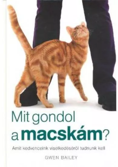 MIT GONDOL A MACSKÁM?