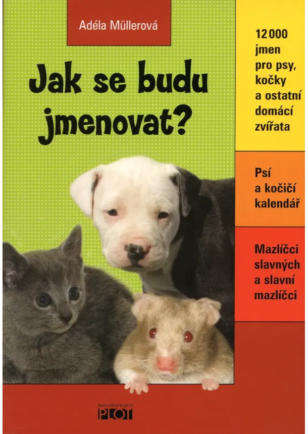 Adéla Müllerová  - Jak se budu jmenovat?