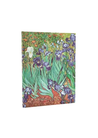 D2025/26 Van Gogh´s Irises Ultra VER