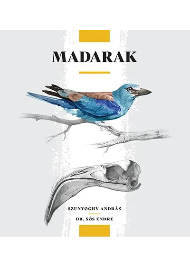 Szunyoghy András - Madarak