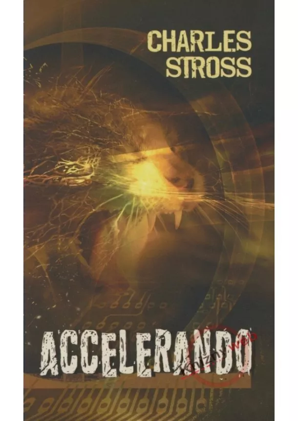 Charles Stross  - Accelerando