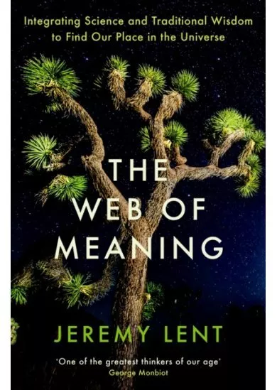 Web of Meaning