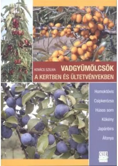 VADGYÜMÖLCSÖK A KERTBEN ÉS ÜLTETVÉNYEKBEN /HOMOKTÖVIS, CSIPKERÓZSA, HÚSOS SOM, KÖKÉNY, JAPÁNBIRS