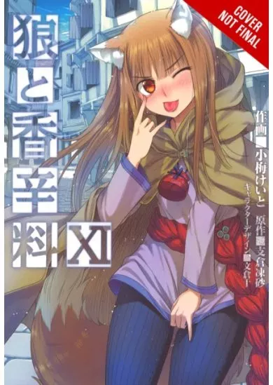 Spice And Wolf 11 Novel