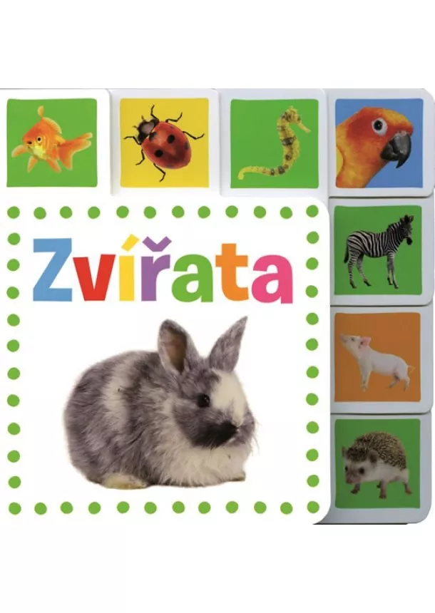 autor neuvedený - Zvířata - leporelo