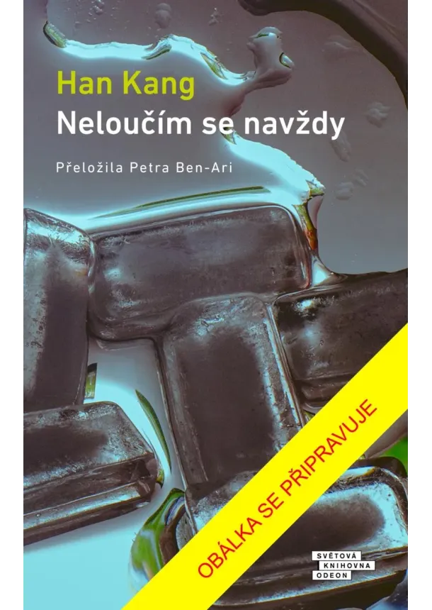 Han Kang - Neloučím se navždy