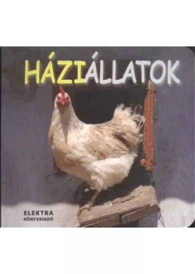 Háziállatok