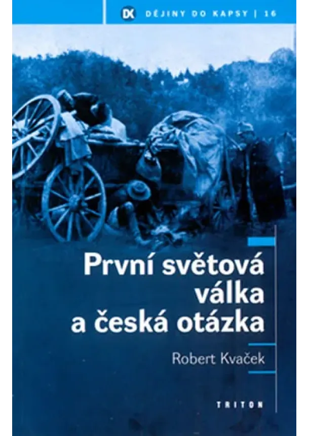 Robert Kvacek - První světová válka a česká otázka