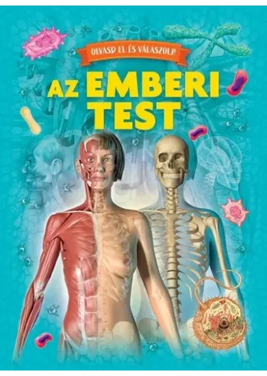Olvasd el és válaszolj! - Az emberi test