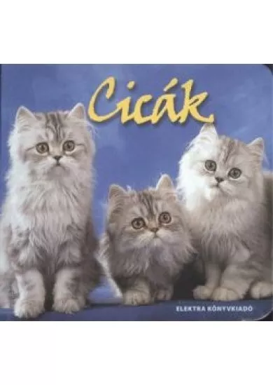 Cicák