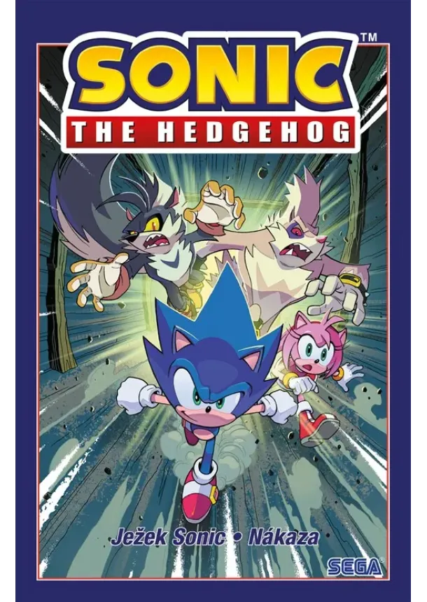 Ian Flynn - Ježek Sonic 4 - Nákaza