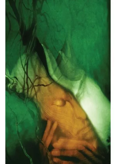 The Sandman  3 Dream Country 30th Anniversary Edition