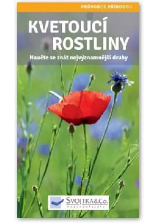 autor neuvedený - Kvetoucí rostliny