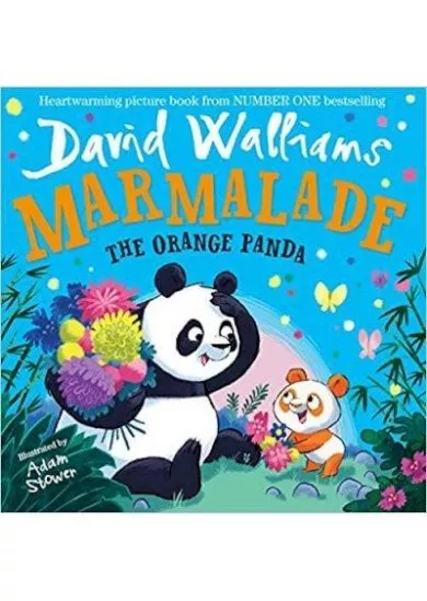 Marmalade - the Orange Panda