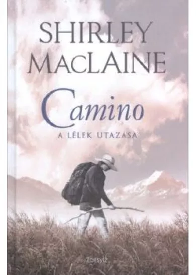 Camino /A lélek utazása
