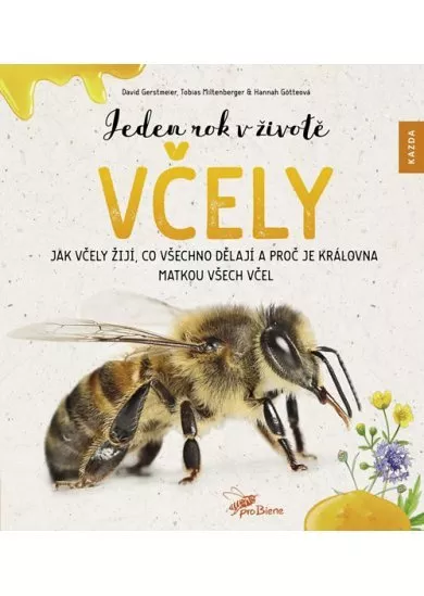 Jeden rok v životě včely CZ - Jak včely žijí, co všechno dělají a proč je královna matkou všech včel
