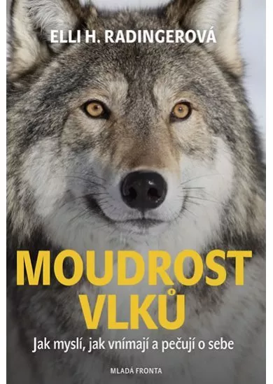 Moudrost vlků