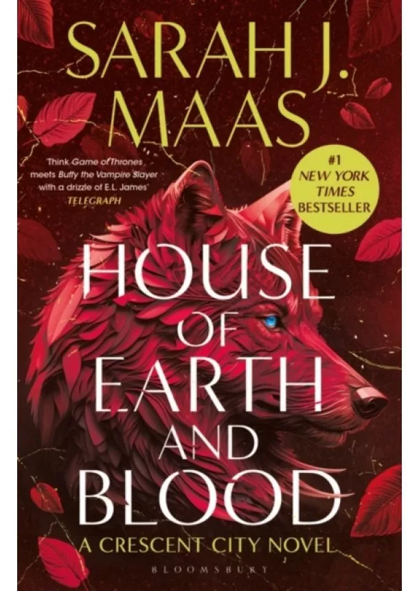 Sarah J. Maas - House of Earth and Blood