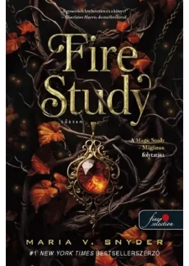 Fire Study - Tűztan