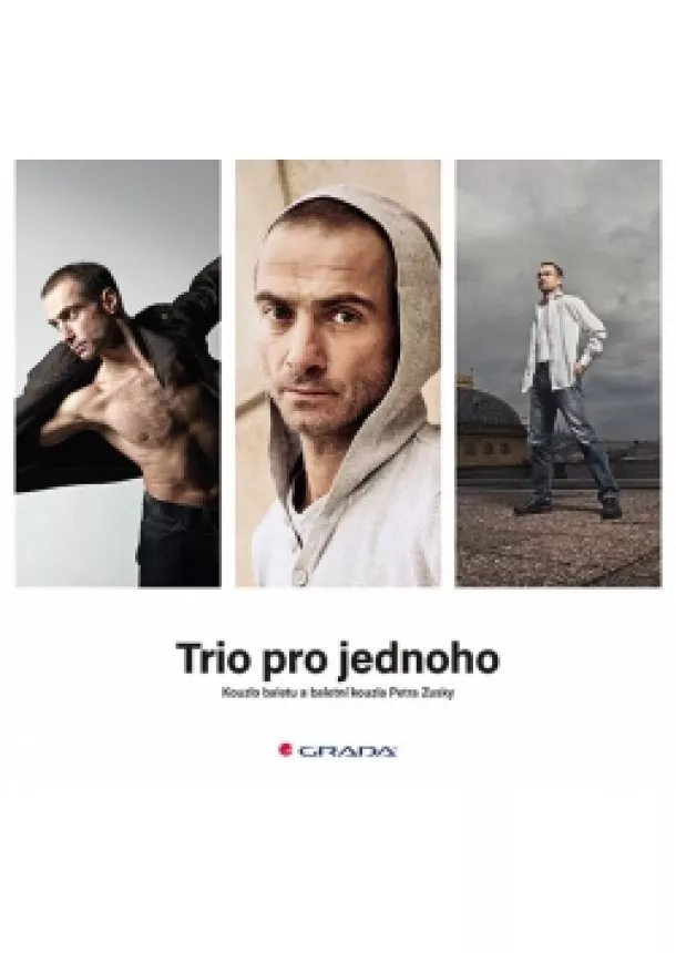 Kolektiv autorů - Trio pro jednoho