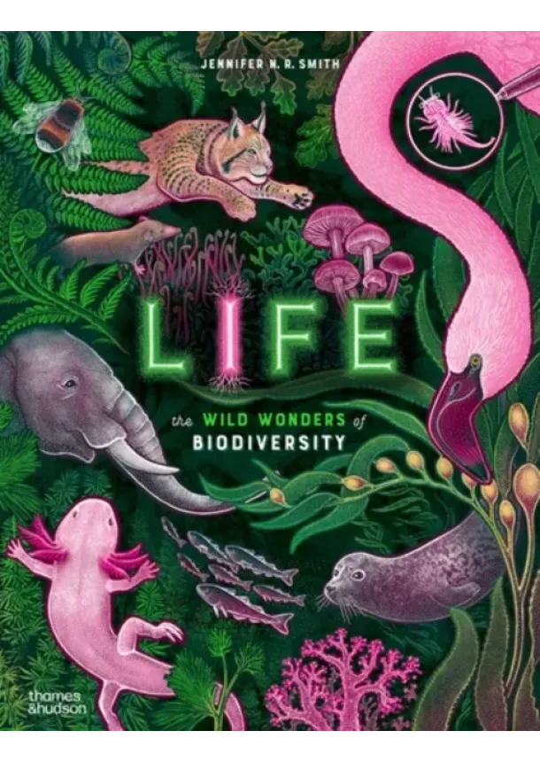 Jennifer N. R. Smith - Life