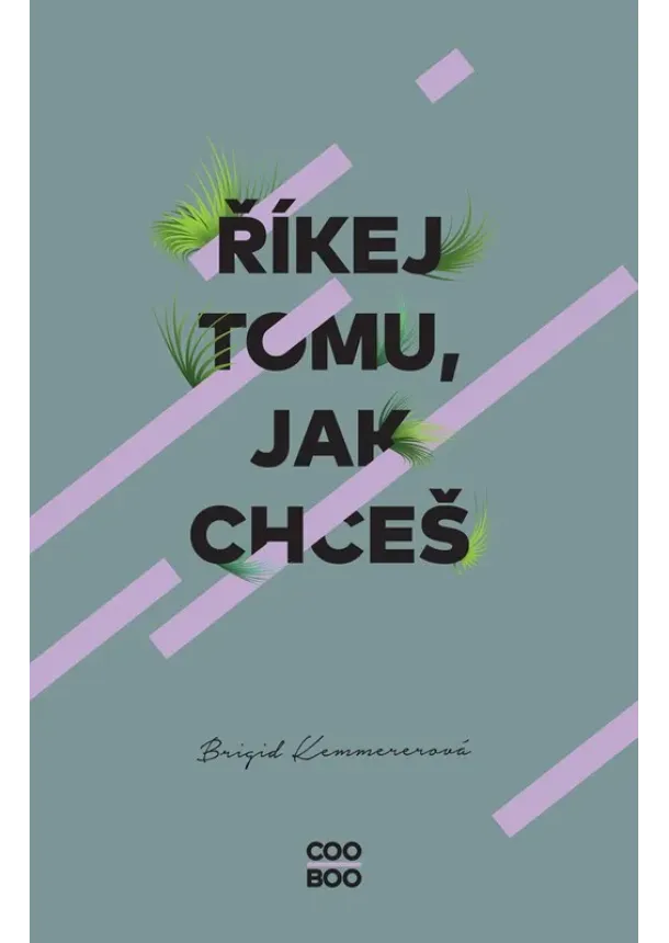 Brigid Kemmerer - Říkej tomu, jak chceš