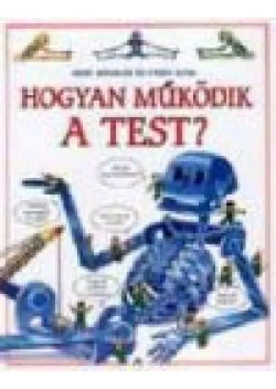 HOGYAN MŰKÖDIK A TEST?