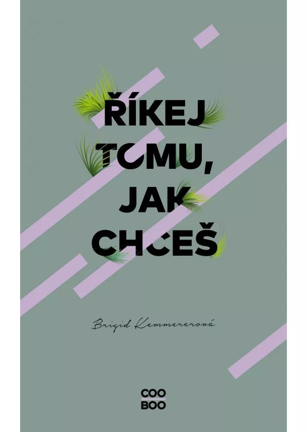 Brigid Kemmerer - Říkej tomu, jak chceš