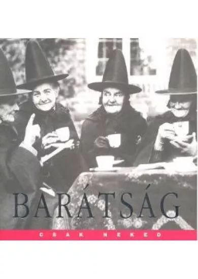 BARÁTSÁG /CSAK NEKED