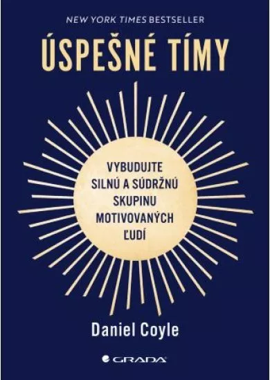 Úspešné tímy - Vybudujte silnú a súdržnú skupinu motivovaných ľudí