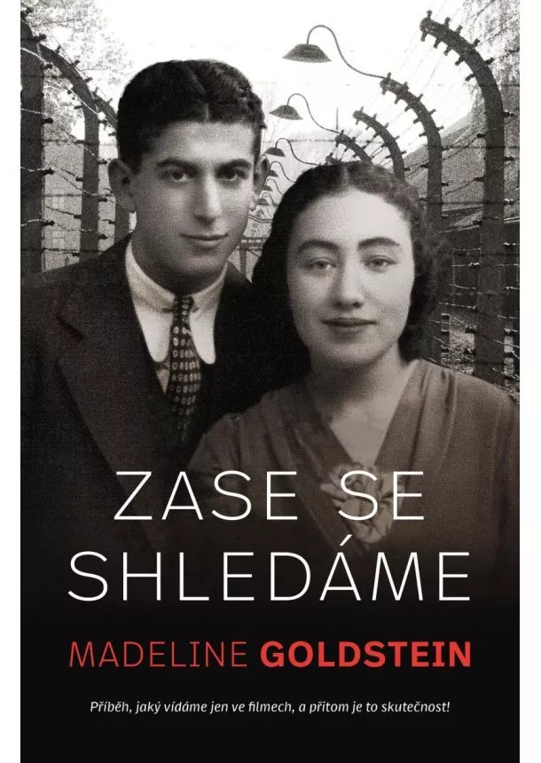 Madeleine Goldstein - Zase se shledáme