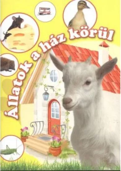 ÁLLATOK A HÁZ KÖRÜL