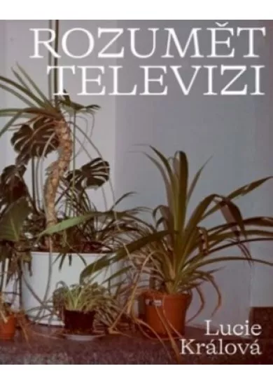 Rozumět televizi