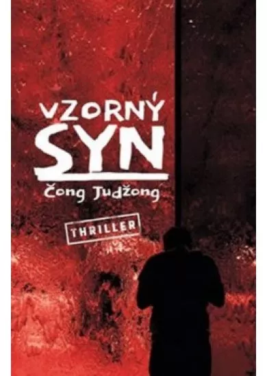 Vzorný syn