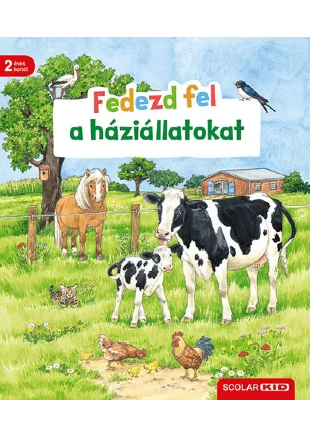 Bea Zorell - Fedezd fel a háziállatokat