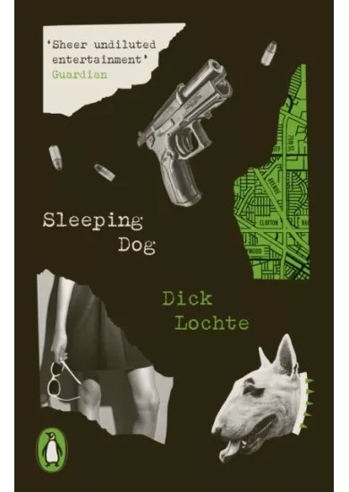 Sleeping Dog