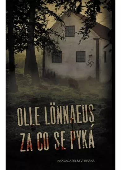 Za co se pyká