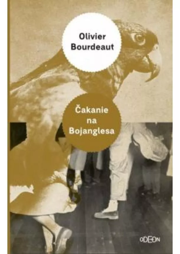 Olivier Bourdeaut - Čakanie na Bojanglesa